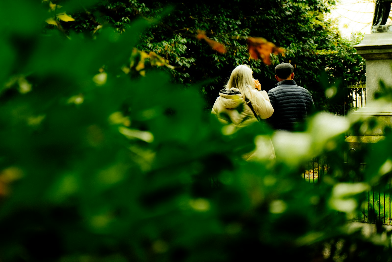 Couple se promenant dans un parc en automne